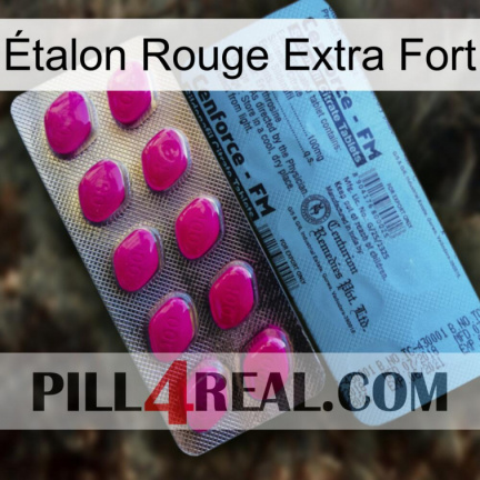 Étalon Rouge Extra Fort 35